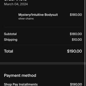 Conscience creations bodysuit worn once no damage.